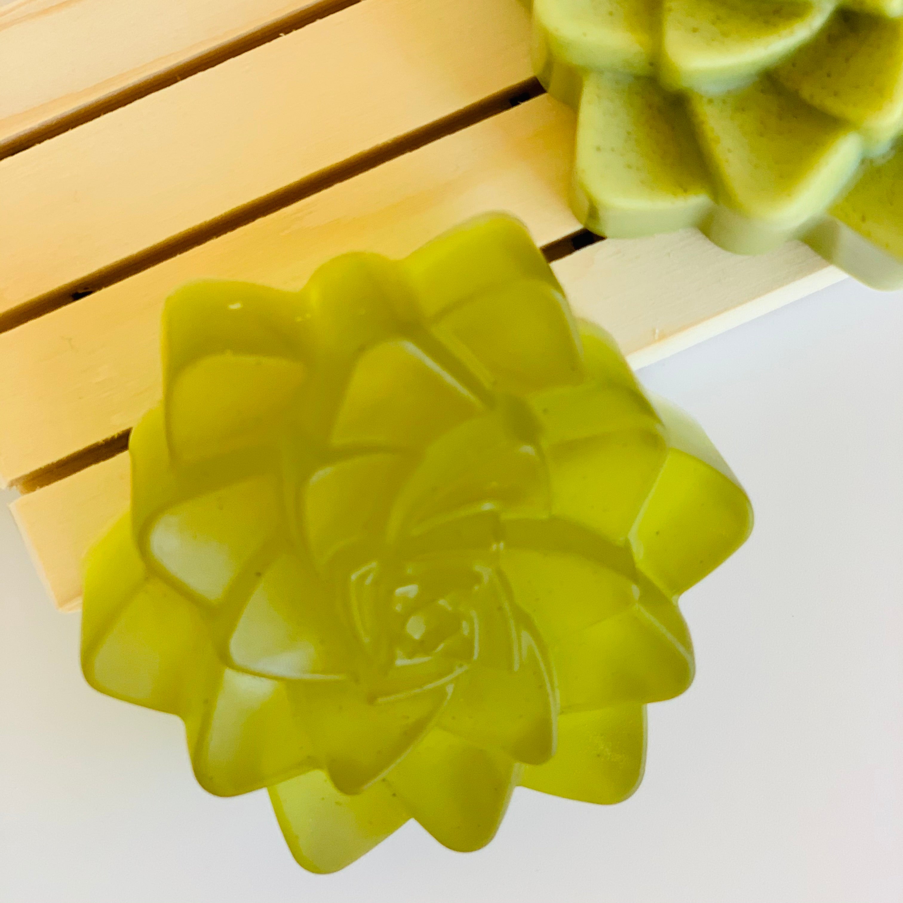 Luscious Succulent Handmade Soap